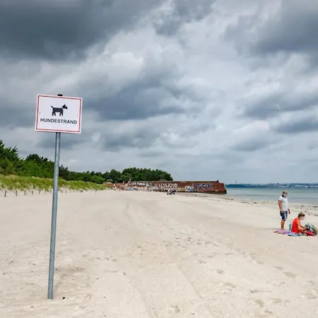 Prora - Familienfreundliches Strandapartment Mit Balkon, Fahrrad Zur Kostenlosen Nutzung, E-Ladestation Und Waschmaschine - Loft Sturmmoewe Appartement Binz