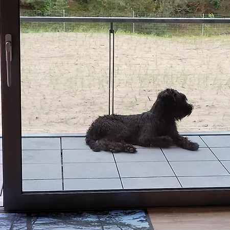 Prora - Familienfreundliches Strandapartment Mit Balkon, Fahrrad Zur Kostenlosen Nutzung, E-Ladestation Und Waschmaschine - Loft Sturmmoewe